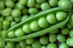 peas1