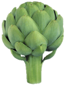 home-artichoke
