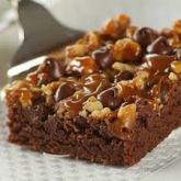 turtlebrownies1